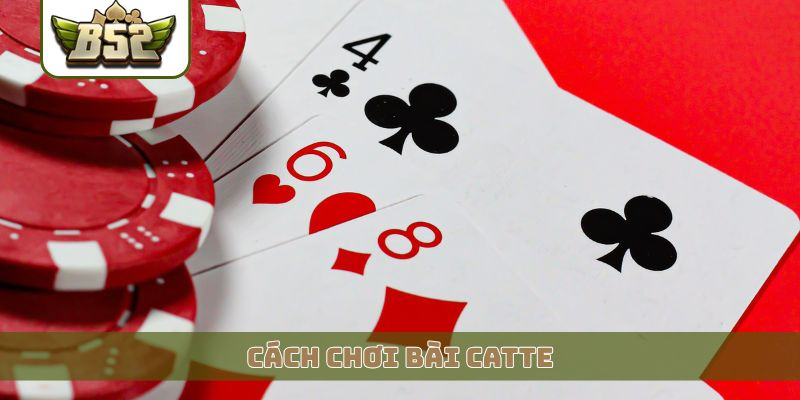 cách chơi bài catte