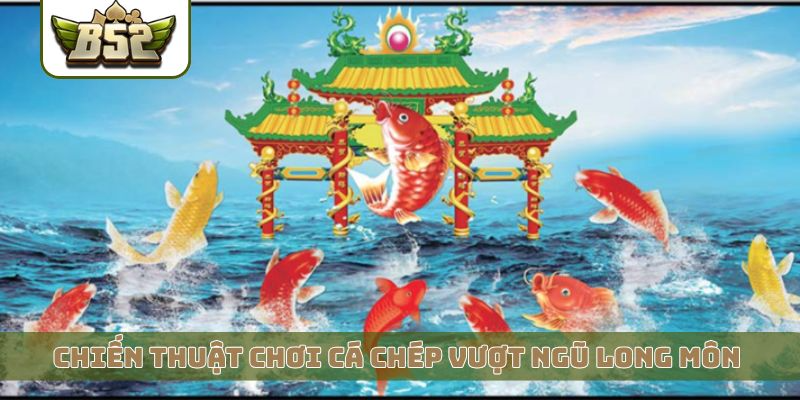 Chiến thuật chơi cá chép vượt ngũ long môn cho newbie